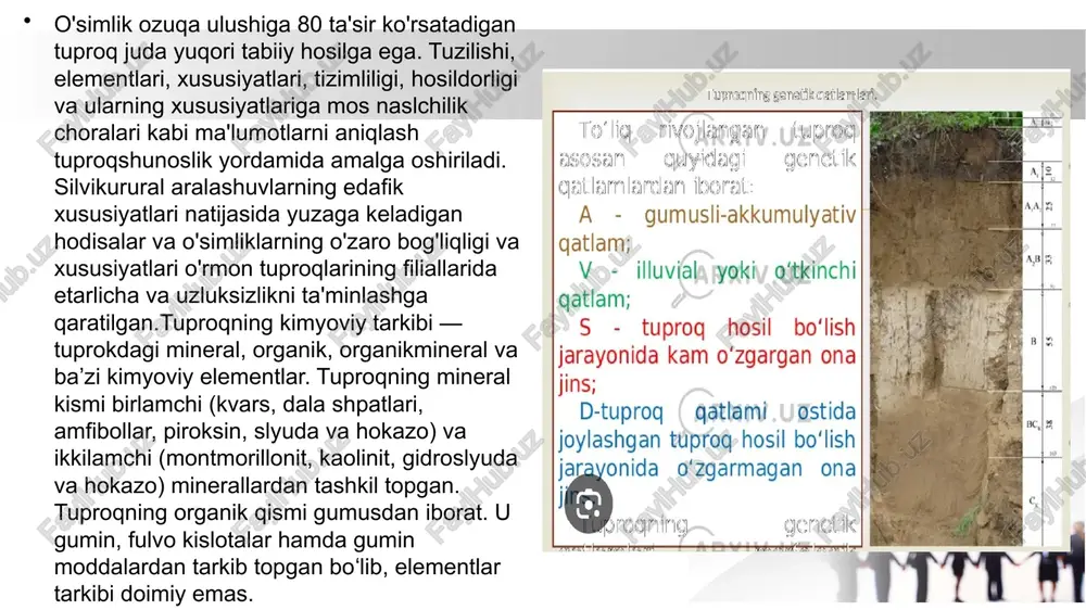 salan, qumloq tuproqlar havo almashinuvini yaxshi ta’minlasa, loyqa tuproqlar namni uzoq saqlaydi. 3. kimyoviy komponent: bu tuproqdagi oziqa moddalari (azot, fosfor, kaliy va boshqalar), ph darajasi, tuzlar, minerallar bilan bog‘liq. kimyoviy muvozanat o‘simliklarning oziqlanishi, oz komponentlararo o‘zaro aloqalar: tuproq ifloslanishining asosiy manbalari va sabablari tuproqning ifloslanishi va moddalarning normal aylanishining buzilishi mineral o'g'itlar va pestitsidlardan o'lchovsiz foydalanish natijasida yuzaga keladi.tuproqning ifloslanishi va moddalarning normal aylanishining buzilishi mineral o'g'itlar va pestitsidlardan o'lchovsiz foydalanish natijasida yuzaga keladi. qishloq xo'jaligining bir qator tarmoqlarida o'simliklarni himoya qilish va begona o'tlarga qarshi kurashish uchun pestitsidlar ko'p miqdorda qo'llaniladi. ularning yillik qo'llanilishi, ko'pincha mavsumda bir necha marta, ularning tuproqda to'planishiga va uning zaharlanishiga olib keladi. asosiy ma’lumotlar go'ng va najas bilan birgalikda patogenlar ko'pincha tuproqqa kiradi bakteriyalar, gelmint tuxumlari va boshqa zararli organizmlar orqali oziq-ovqat inson tanasiga kiradi. dalalarda va o'rmonlarda, yog'och kesish joylarida va hokazolarda avtomobillarga yoqilg'i quyishda tuproq neft mahsulotlari bilan ifloslanadi. eng yuqori, …