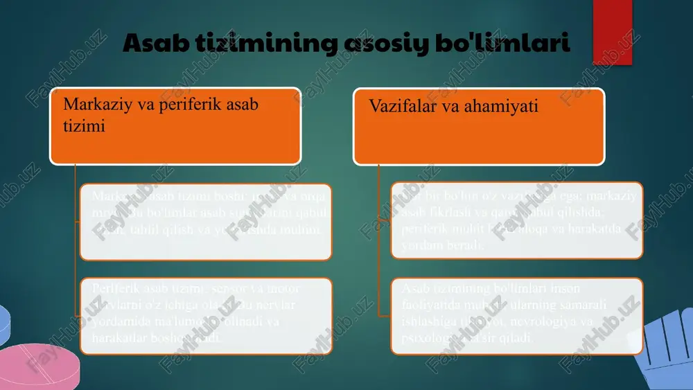 i reflekslar roli o'rganish jarayonida shartli reflekslar muhim rol o'ynaydi. ular muhitga moslashish va yangi vazifalarni o'zlashtirishda yordam beradi, shuningdek, neyro-psixologik rivojlanishni ta'minlaydi. shartli reflekslar va muhit o'zaro ta'siri shartli reflekslar muhit sharoitlariga moslashishga xizmat qiladi. ular tashqi muhit bilan o'zaro ta'sirda asab tizimining moslashuvchanligini oshiradi va yangi sharoitlarga adaptatsiya qilish imkonini beradi. oliy asab foliyatlarining tiplari kognitiv faoliyatlar: bilish, idrok etish, xotira, muammo yechish; misol: matematik hisoblash. emotsional faoliyatlar: his-tuyg'u, motivatsiya, kayfiyat; misol: quvonch yoki g'azab. harakat faoliyatlari: yurish, yozish, sport; misol: piyoda yurish. ijtimoiy faoliyatlar: munosabatlar, kommunikatsiya; misol: jamoaviy ish. ushbu funksiyalar inson hayoti va rivojlanishida muhim rol o'ynaydi. kognitiv faoliyatlar bilishni, emotsional faoliyatlar motivatsiya va kayfiyatni, harakatlar kundalik harakatlarni, ijtimoiy faoliyatlar esa insonlararo aloqalarni ta'minlaydi. asab tizimining funktsiyalari oliy asab foliyatlari ma'lumotlarni qabul qilish, tahlil qilish va muvofiqlashtirishda muhim rol o'ynaydi. his-tuyg'ularni boshqarish emotsional muvozanat amygdala va prefrontal kortekslarning hamkorligi bilan ta'minlanadi, stressni kamaytiradi. harakatlarni muvofiqlashtirish cerebrum …