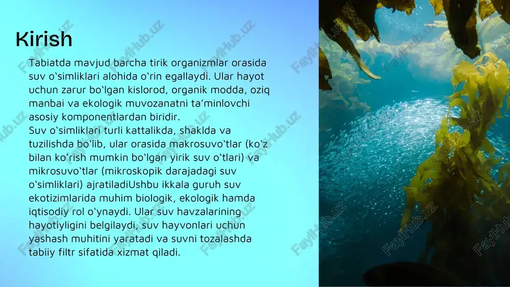 lumot olish mumkin. bu esa davlat va jamoat tashkilotlariga suv resurslarini muhofaza qilish va oqilona boshqarish uchun muhim asos bo‘ladi.biologik monitoringda aynan makro va mikrosuvo‘tlar “indikator organizmlar” sifatida ishlatiladi. ya’ni ular suv muhitidagi ifloslanish yoki o‘zgarishlarga birinchi bo‘lib sezgirlik bilan javob beradi.makrosuvo‘tlar suv havzalarining uzoq muddatli holatini baholash uchun ishlatiladi. ular suvdagi kimyoviy elementlarni to‘playdi va o‘z tanasida saqlaydi.shuningdek, suv o‘simliklariga bo‘lgan qiziqish yosh avlodni tabiatni asrashga jalb qilish, ekologik madaniyatni oshirishda ham o‘z aksini topmoqda. o‘zbekiston bo‘ylab tashkil etilayotgan tabiatni muhofaza qilish kampaniyalari, ekologik klublar va seminarlar orqali mikro- va makrosuvo‘tlarning ahamiyati keng jamoatchilikka yetkazilmoqda. suv o‘simliklari haqida umumiy tushuncha suv o‘simliklari (suv o‘tlari) — suv muhitida yashovchi, fotosintez jarayonini amalga oshiruvchi, xlorofillga ega bo‘lgan o‘simliklardir. ular xloroplast, hujayra devori, yadro, vakuola va boshqa organoidlarga ega bo‘lib, avtotrof organizmlar hisoblanadi.suv o‘tlari suv havzalarining barcha qatlamlarida — suv yuzasida, suv ostida, hatto loy va toshlar ustida ham o‘sadi. ularning ayrimlari …
