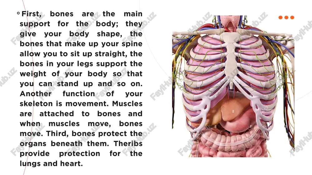 the skeleton - Page 3