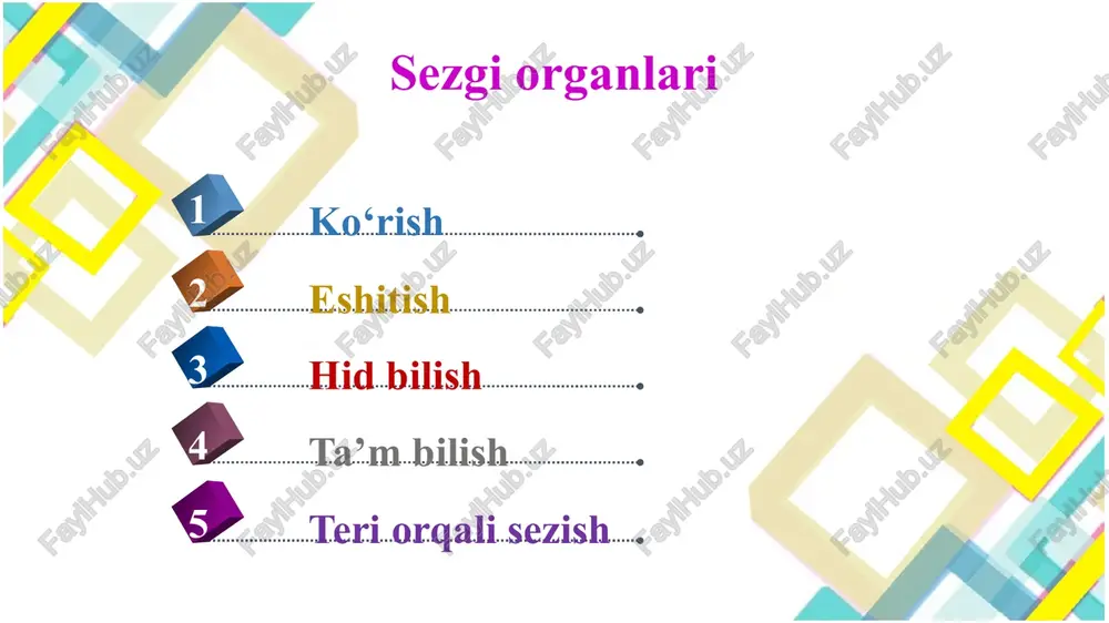 sezgi organlari - Page 3