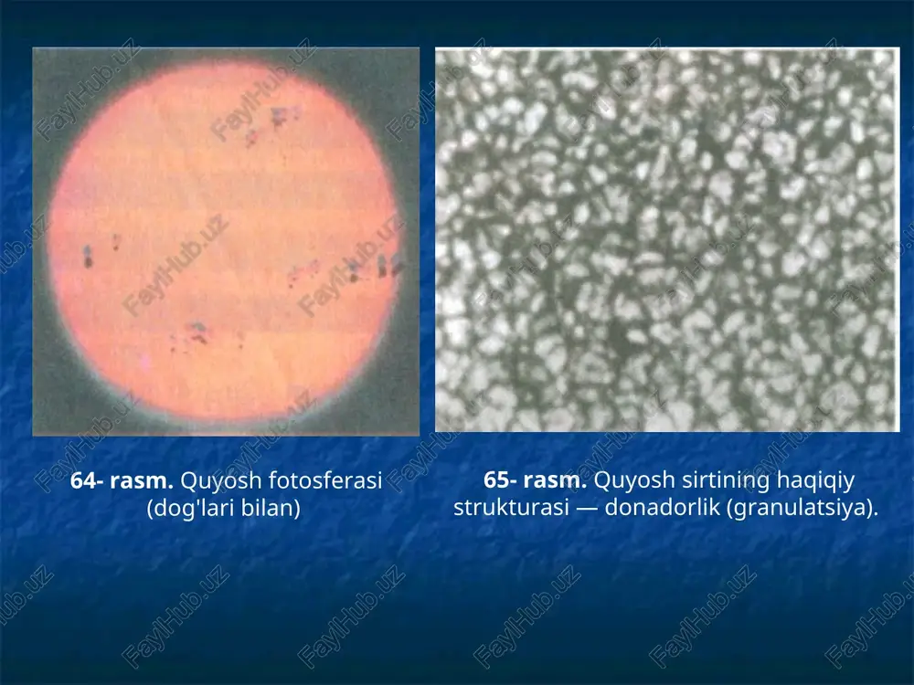 uradigan) dog'lar ko'p uchramaydi. dog'lar quyosh sirtining hamma qismlarida paydo bo'lavermay, uning ±35-40 gradus kengliklari orasi-dagi sohada paydo bo'ladi. quyosh fizikasiga tegishli muhim muammolardan biri undagi dog'lar sonining yillar mobaynida sistemali o'zgarib turishidir. quyosh dog'lari soniga tegishli qariyb 100 yillik materialni yig'ib va bir necha o'n yil davomida havaskor astronomlar orasida quyosh dog'larini sistemali kuzatishni yo'lga qo'ygan shveysariyalik olim rudolf volf quyosh dog'lari soni o'zgarishining o'rtacha davrini 11,1 yilga teng deb topdi. quyosh dog'lari quyoshdagi eng aktiv jarayonlardan ekanligi va quyosh atmosferasi qatlamlarida uchraydigan barcha boshqa aktiv hodisalar bilan bevosita bog'lanishda bo'lganligi tufayli, quyosh dog'lari sonining 11,1 yillik davri — quyosh aktivligining davri sifatida qabul qilingan (70- rasmga qarang). protuberaneslar quyoshda sodir bo'ladigan eng chiroyli hodi-salardan desak mubolag'a bo'lmaydi (67- rasm). o'rta asrlar qo'lyozmalarida quyosh to'la tutilganda, protuberaneslarning kuza-tilganligi haqida ma'lumotlar uchraydi. quyoshning fotosferadan yuqori qatlami xromosfera deyilib (grekcha «xromos» — rang degani), balandligi 14000 km gacha boradi. bu qatlamda …