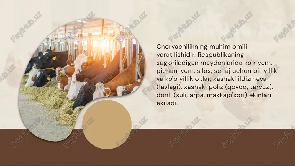 klararo omixta yem zavodlari, asosan, jamoa xoʻjaliklarining birlashmalari hamda yirik chorvachilik va parrandachilik xoʻjaliklari qoshida tashkil qilinadi. masalan, aqshda yirik omixta yem zavodlari ko'pincha qushlar uchun to'liq ratsionli mahsulot ishlab chiqaradi. hayvonlar uchun premikslar tayyorlanib, ular tuman ahamiyatidagi kichik korxonalar (25-30 t/sut)da qo'shimcha sifatida mahalliy xomashyo (don, dag'al yemlar va boshq.) ga qo'shiladi. rahmat!