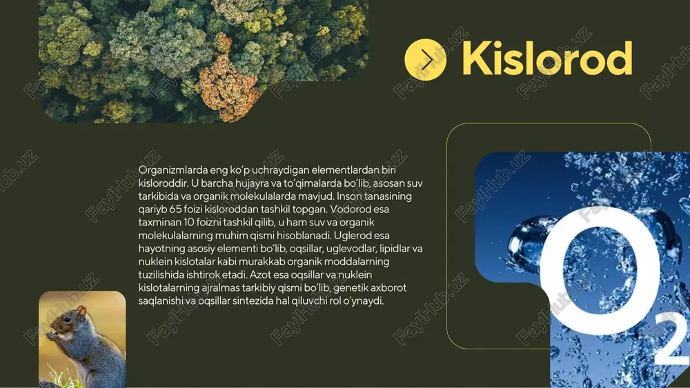 tirik organizmlarning kimyoviy tarkibi - Page 3