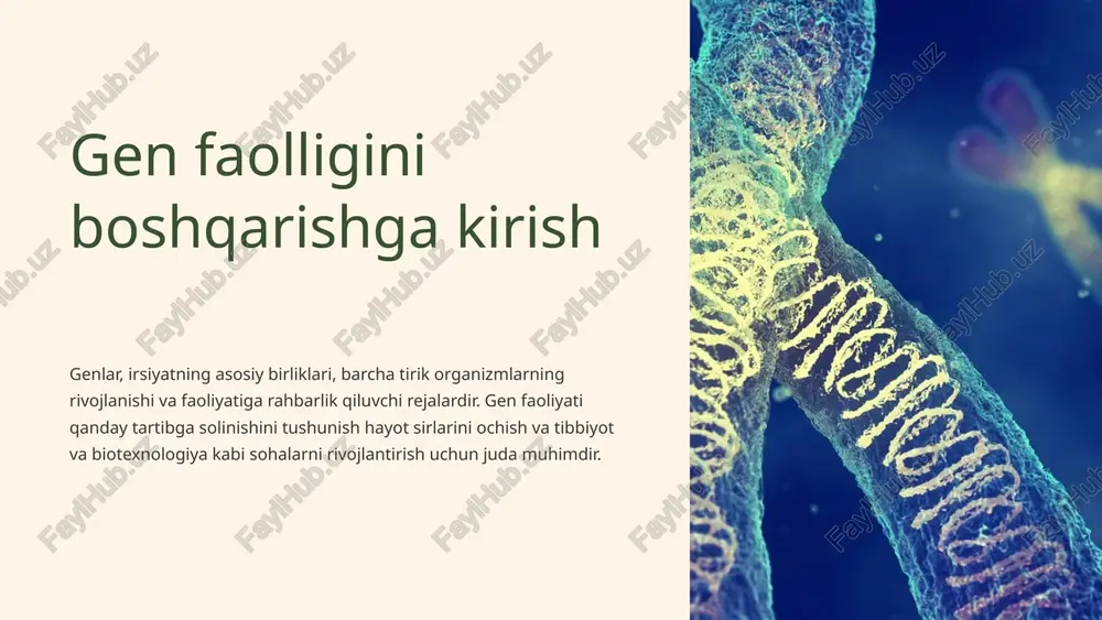 sillarni yaratish uchun qayta ishlanishi mumkin bo'lgan tarkibiy aminokislotalarga parchalaydi. 9 signal yo'llari va gen ekspressiyasi retseptorlarni faollashtirish hujayradan tashqari signallar hujayra yuzasi retseptorlari bilan bog'lanib, hujayra ichidagi signal kaskadlarini ishga tushiradi. transkripsiya faktorini tartibga solish signal yo'llari transkripsiya omillarini faollashtiradi yoki bostiradi, so'ngra ifodani boshqarish uchun gen promotorlari bilan bog'lanadi. xromatinni qayta qurish signal, shuningdek, genlarning mavjudligini tartibga solish uchun giston modifikatsiyalari kabi epigenetik o'zgarishlarni keltirib chiqarishi mumkin. 10 rivojlanish va to'qimalarga xos genlarni tartibga solish 1 embrion rivojlanishi tana rejasi va hujayra taqdirini boshqaradigan genlar 2 ildiz hujayralarining differentsiatsiyasi hujayra naslining majburiyatlari paytida faollashtirilgan genlar 3 to'qimalarga xos ifoda maxsus hujayra turlarini belgilaydigan genlar genning ifodalanishi organizmning rivojlanishi davomida va turli to'qimalarda qat'iy tartibga solinadi. muayyan transkripsiya omillari va epigenetik modifikatsiyalar har bir bosqichda qaysi genlar faollashishini boshqarib, hujayralarni farqlash va to'qimalarni shakllantirish imkonini beradi. ushbu aniq nazorat normal o'sish va funktsiya uchun juda muhimdir. 11 kasallikdagi gen …