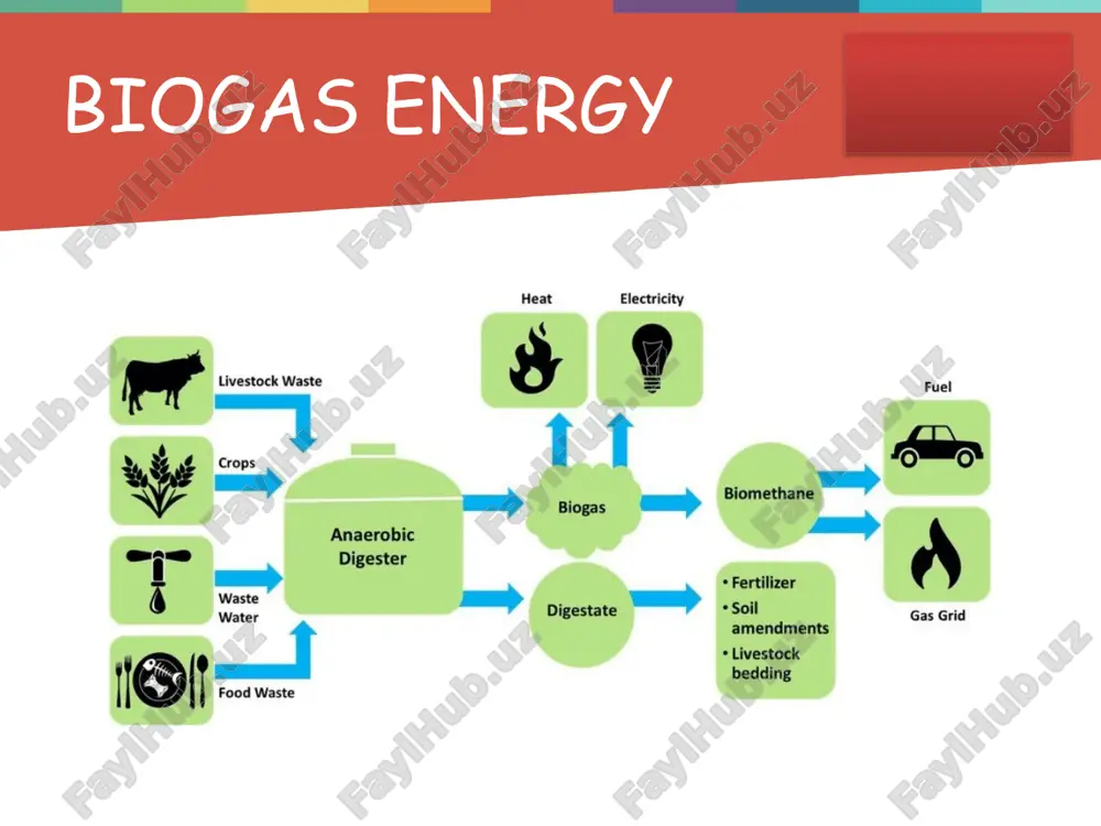 biomassaenergiyasi - Page 3