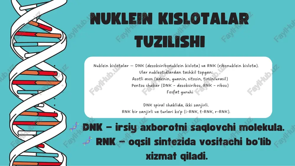irsiyatning molekulyar asoslari - Page 3