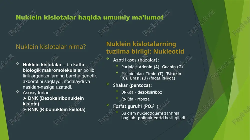 irsiyatning molekulyar asoslari - Page 3