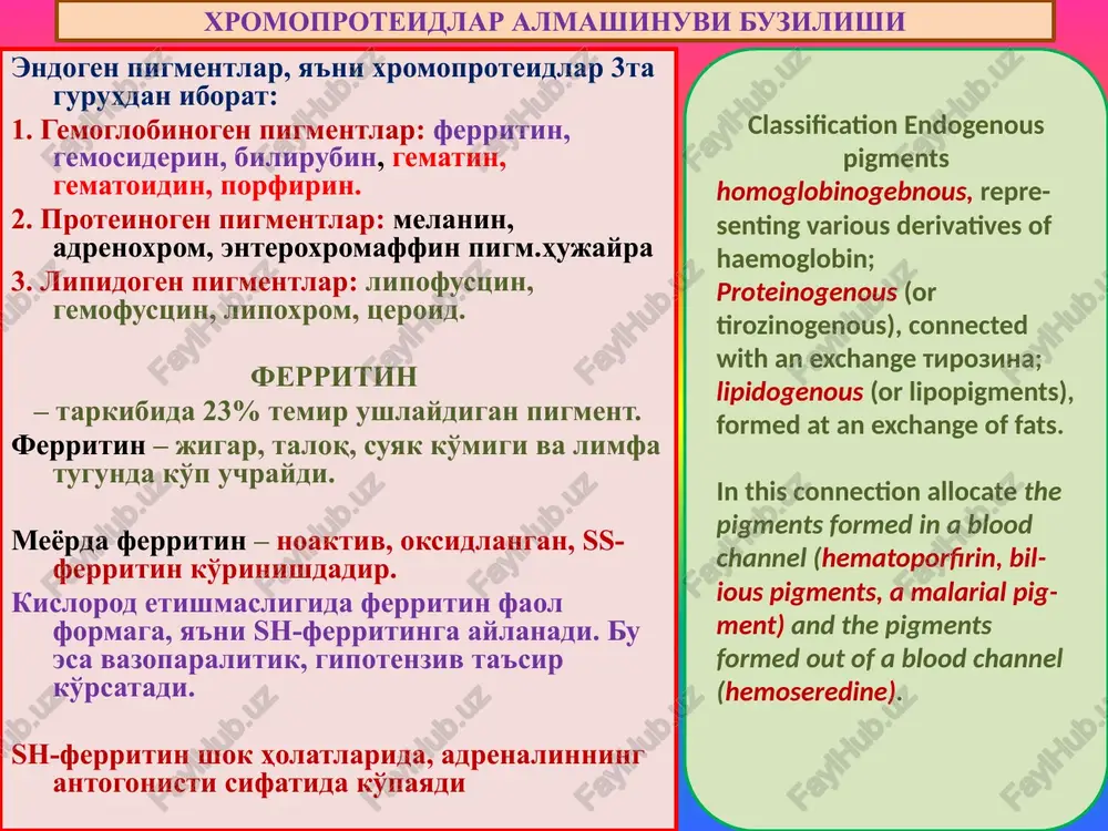 up blood; rhesus factor-conflict between blood of mother and a fruit; intoxications hemolitic poisons (a poisoning with mushrooms, snake poison, etc.); some infectious diseases (a sepsis, unaerobic infections, a malaria). mahalliy gemosiderozga misol o'pka gemosiderozi. sabablari: revmatik mitral porok, kardiosklerozda o'pkada qonning dimlanishi. o'pkada surunkali venoz dimlanish, tomir devori o'tkazuvchanligining oshishi. o'pkaga diapedez qon quyilishlar. alveolalar oralig'ida, tomirlar atrofida ko'p miqdorda sideroblastlarning to'planishi. sideroblastlarning alveolalar bo'shlig'iga tushishi va balg'am bilan ajralishi – “yurak porogi hujayrasi” deyiladi. aralash distrofiyalar at long venous stagnation in the lungs, arising owing to chronic warm insufficiency, are observed plural diapeptidase hemorrhages. formed thus hemosiderin it is absorbed mononuclear by cages of alveoluses. bilirubin – o't-safro pigmenti 1. resda eritrotsitning parchalanishi, gemning ajralishi. 2. gem protoporfirin xalqasining temirni yo'qotishi. 3. biliverdin paydo bo'lishi. 4. biliverdinning oqsil bilan qo'shilib bog'langan bilirubinga aylanishi. 5. gepatotsitlarning glyukuron kislotasi yordamida qondan bilirubinni olib o't kapillyariga xaydashi. 6. undan najasda sterkobillin, …