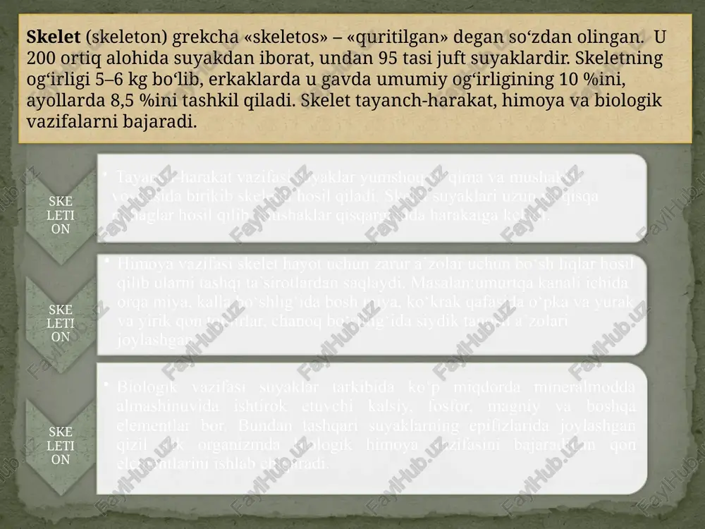 o`mik moddasi suyaklarning ichki tuzilishini ularni arralab qaragandagina ko'rish muinkin. ular ikki xil moddadan, zich (qattiq) va g'ovak modda (ko'mik)dan iborat. zich modda yaxlit massaga o'xshab ko'rinadi, g'ovak modda esa ingichka xoanalar to'ridan iborat bo'lib, bir-biri bilan chalkashib, har xil burchaklar hosil qiladi. ular orasida mayda katak (bo'shliq) lar vujudga keladi. qattiq moddalar suyaklarning tashqi qismida, g'ovak moddalar esa ichki qismida joylashgan. serbar suyaklarda g'ovak moddalar juda kam bo'lib, zich moddalarning ikki plastinkasi orasida yupqa ko'mik holatida uchraydi. kalla suyagining qopqoq qismidagi g'ovak moddalar ikki qavat nomi bilan yuritiladi, ana shu suyaklar­ning ichki qattiq plastinkasi shishasimon plastinka deyiladi. chunki u tashqi plastinkadan yupqa bo'lib, organik moddasi kam va mo'rt. ser­bar suyaklarning ba'zi joylarida umuman g'ovak moddalar bo'lmasligi mumkin, unda zich moddaning tashqi va ichki plastinkalari birbiriga yopishib, bitta butun qavat hosil qiladi. kalta suyaklar faqat g'ovak moddalardan iborat bo'lib, tashqi qismi esa yupqa zich modda plastin­kasi bilan qoplangan. suyaklar qattiq …
