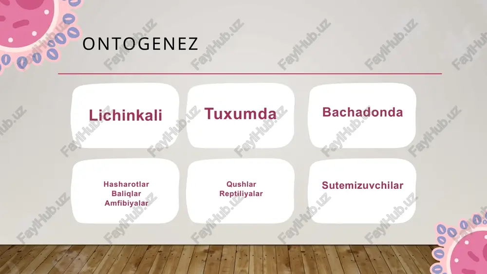 ontogenez - Page 3