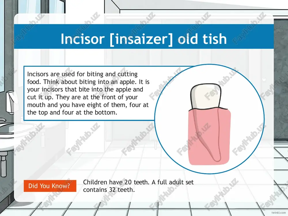 incisors - Page 3