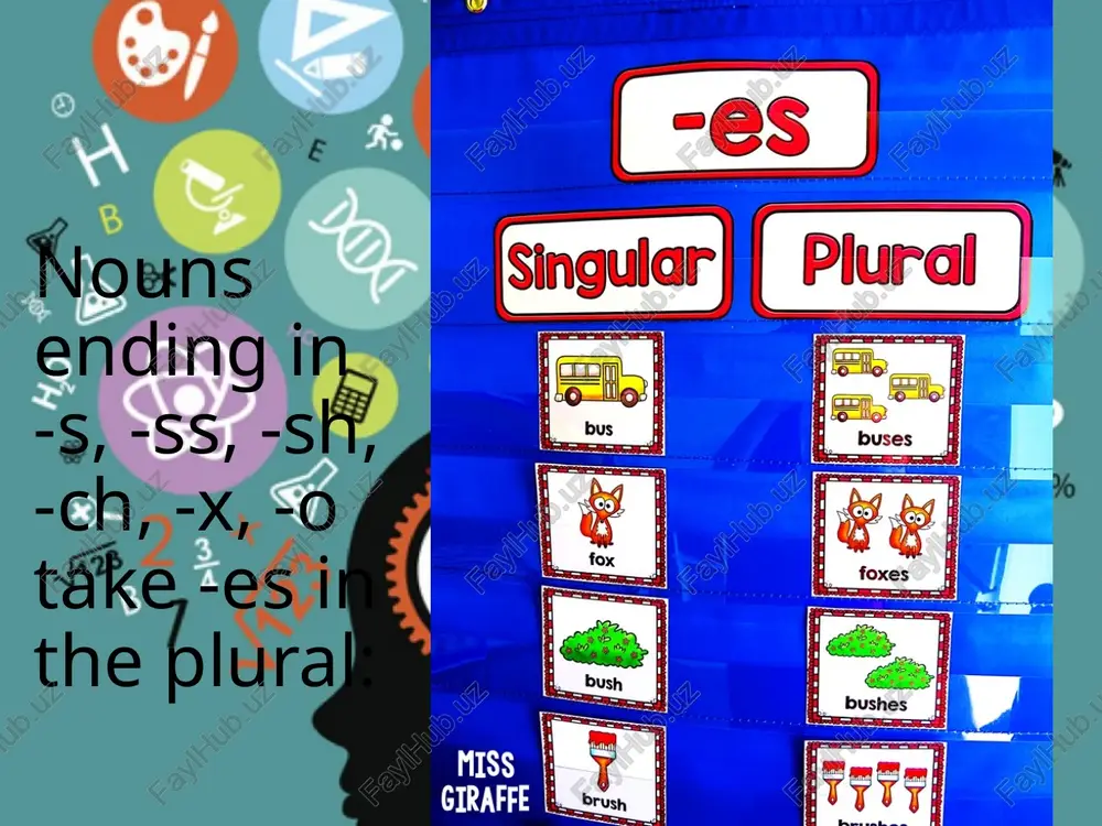 pluralnouns - Page 3