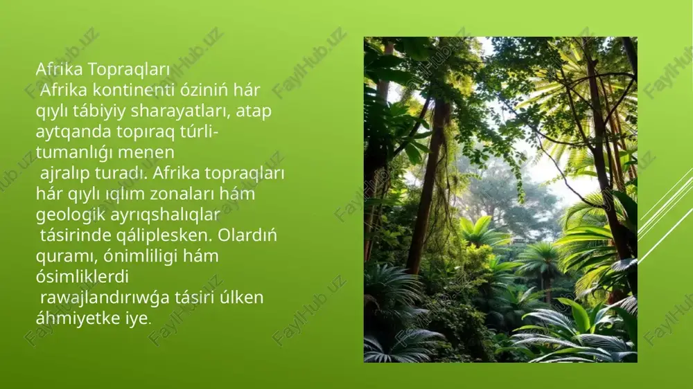 juwmaq hám usınıslar izertlewler afrika topraqları haqqında tereń izertlewler ótkeriw zárúrli bolıp tabıladı. tálim topıraq qáwipsizligi hám aqılǵa say paydalanıw boyınsha keń kólemli tálim ótkeriw zárúr. texnologiyalar zamanagóy texnologiyalardı awıl xojalıǵında topıraq ónimliligin asırıw hám qorǵaw ushın qóllaw. sheriklik xalıq aralıq sherikliklerdi rawajlandırıw, topıraq qáwipsizligi boyınsha tájiriybe almasis paydalang`an a`debiyatlar "world population prospects: the 2010 revision" united nations (department of economic and social affairs, population division) 2. geografiya. jahon iqtisodiy-ijtimoiy geografiyasi. 9-sinf oʻquvchilari uchun darsllik. a.qayumov, i. safarov, m. tillaboyeva, v. federko- 2019. t. 140-145-bet. t. v. vlasova. materiklar tabiiy geografiyasi (okeanlar tutash qismlari bilan birga)- oʻqituvchi. t., 1981[1] x.vaxobov, a. a. abdulqosimov, n. r. alimkulov materiklar va okeanlar tabiiy geografiyasi -toshkent ,2021[2] image1.emf image2.png image3.png image4.emf image5.emf image6.emf image7.emf image8.png image9.png image10.png /docprops/thumbnail.jpeg