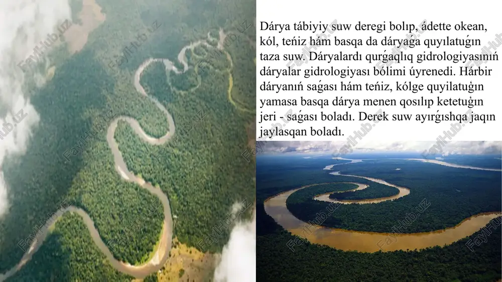 de). dáryada aģis tezligi bir neshe sm/sek tan (tegislik dáryasında) 6-7 m/sek qa shekem (taw dáryasında) ózgerip turadi. suw qáddi kóteriliwi menen aǵıs tezligi, ádette, tereń jerlerde kóbeyedi hám sayızlıqta kemeyedi. dáryada suw temperaturası ıssı máwsimde hawa temperaturası menen derlik birdey, dárya muzlagan waqitta derlik 0° boladı. dáryalarda muzlaw hádiyseleri qurǵaqlıq aymaǵınıń shama menen 1/4 bóliminde, tiykarınan arqa yarım sharda baqlanadı. dáryalar rossiya federaciyasında dáslep arqa-shigis sibirde (sentyabr aqırında), keyinirek evropa bóliminiń qubla-batısında hám orta aziyada (dekabr aqiri-yanvar basında) muzlaydı. eń qalın muz qaplamı shigis sibir dáryalarında baqlanadı (muz qalınlıǵı ortasha 1,5-2 m) hám 9-10 ay dawamında saqlanadı. taw dáryalarında aģıs tez bolganlıqtan muz qatlamın payda etpeydi, kóplegen dáryalarda qısta shuwısh aģadı. dáryada suw qáddiniń terbeliwi suw sarpınıń ózgeriwi menen baylanıslı. suw qáddi hám suw sarpı jáne olardıń terbeliwi - suw rejiminiń tiykarǵı xarakteristikası bolıp tabıladı. dáryalar - jerde suw aylanıwında áhmiyetli qural. ol qurgaqlıqta dushshi suwdi bólistiredi hám dúnya …