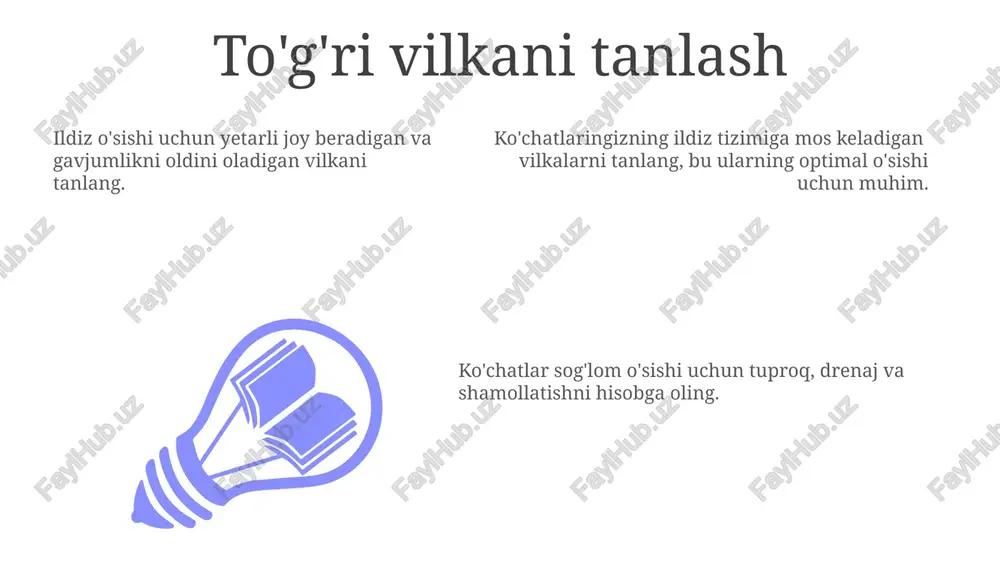 mat @taqdimot_robot image1.jpeg image2.jpeg image3.jpeg
