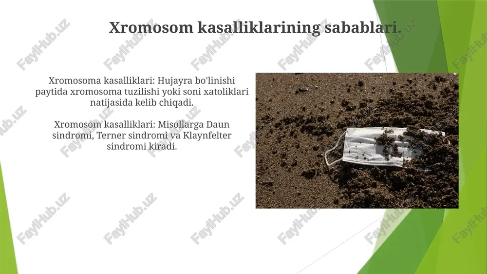 irsiy va xromosomal kasalliklarning ta'siri va boshqarilishi - Page 3
