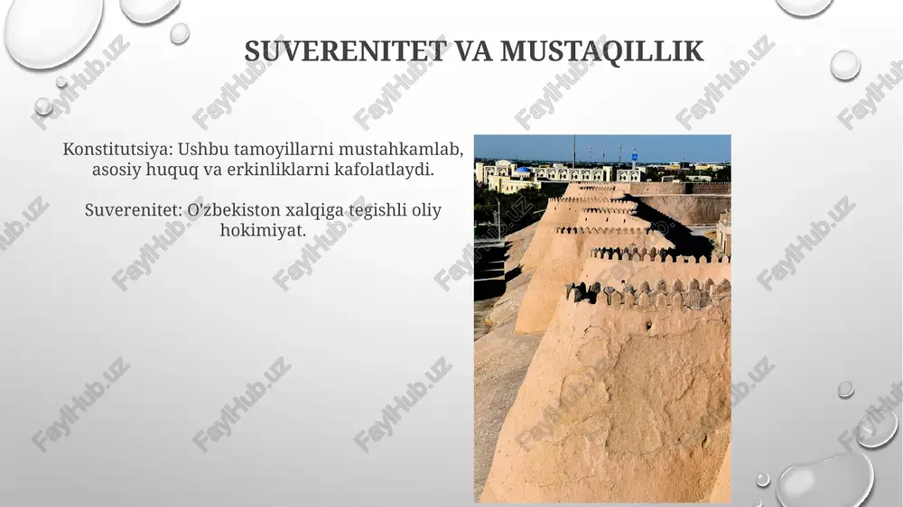 oʻzbekiston respublikasi konstitutsiyasining asosiy prinsplari - Page 3