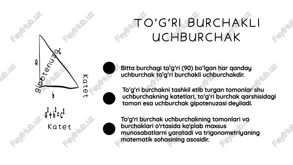 analitik metod bilan masalalar yechish va teoremalarning isboti. pifagor teoremasi - Page 3