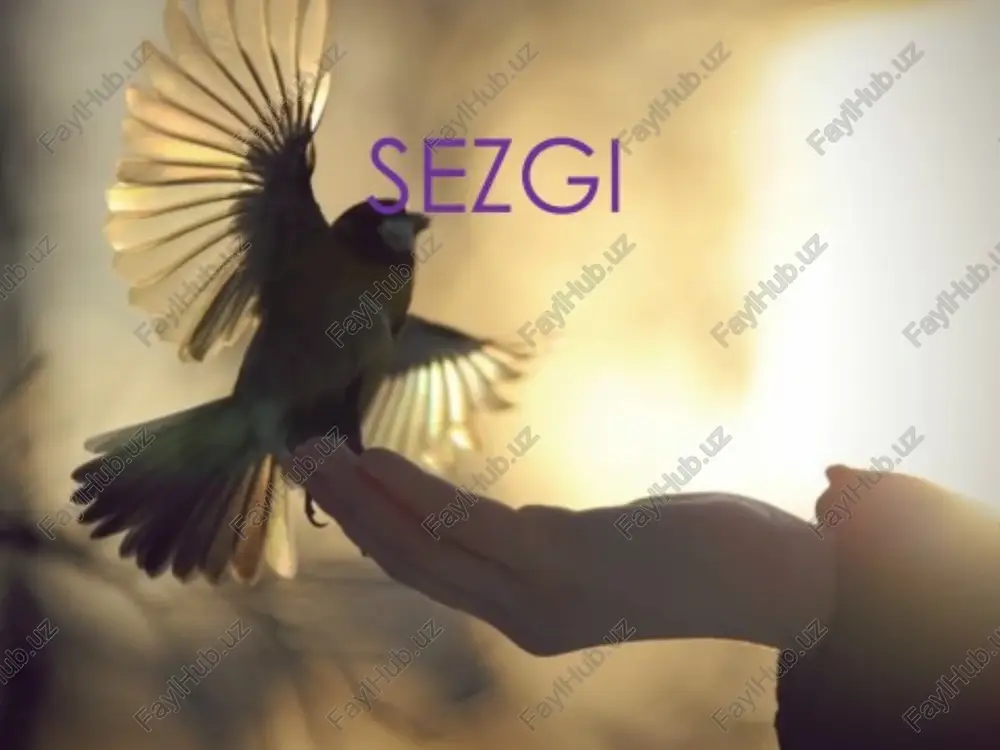 , kulrang va ularning turlicha ko’rinishlari axromatik ranglar deb nomlanadi. eshitish sezgilari eshituv organi tovushlarni eshitish va muvozanat funksiyasini bajaradi. tashqi quloq, o‘rta quloq va ichki quloq farqlanadi. tashqi quloq, quloq suprasi va 2,5 smli tashqi eshituv yo’lidan iborat. hid bilish sezgilari odamda hid retseptorlari burunning yuqori chig’anoqlarining o’rta qismi va burun to’sig’ining shilliq pardasida joylashgan. ularning soni 60mln.dan ortiq. hid sezgisi nihoyatda va o’tkir va nozik hisoblanadi. yangi tug’ilgan ba’zi bir noxush hidlarga nisbatan yuz mimikasini o’zgartirish, nafas olish va pulsning o’zgarishi bilan javob beradi. hidlarni to’liq ajrata olish 4 oylikdan boshlanadi. ta’m bilish sezgilari katta odamning og’iz bo’shlig’i (tili) epiteliyasida yumaloq yoki oval shaklidagi 9000 gacha ta’m sezish piyozchalari joylashgan. har bir piyozchada 2-6 ta ta’m bilish hujayralari o’rnashgan bo’lib,nerv tolalaridan markazga intiluvchi impulslar o’tadi. tilning uchida shirinni, asosida achchiqni, 2 yon qismida nordonni, uchi va asosida sho’rni sezuvchi reseptorlar joylashgan. teri orqali sezgilar teri analizatorlarining nerv markazi …