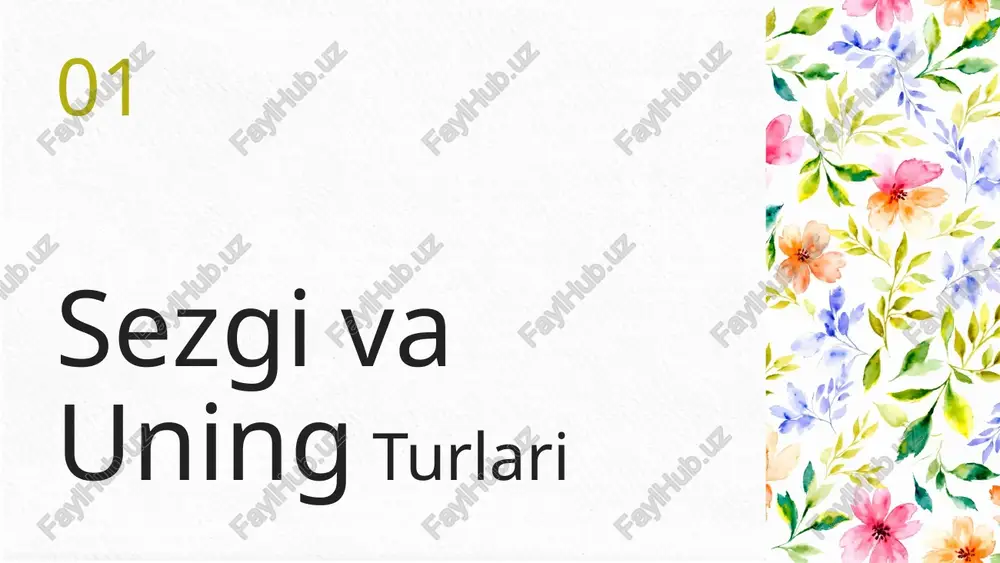 sezgilar va turlari tushunchasi - Page 3