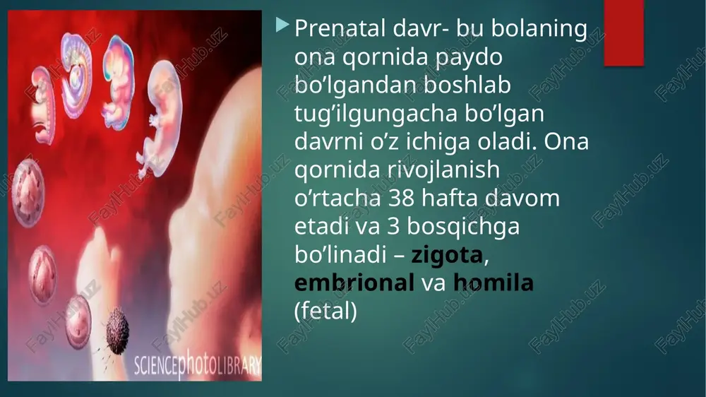 rivojlanishi va ko’rgazmali harakatli tafakkurning shakllanishidir. bu yoshdagi bolalar tik va to’g’ri yurishni o’zlashtiradi, o’z xatti-harakatlari bilan juda faol va kattalar bilan muloqotga kirishishga intiluvchan bo’ladilar. yurishni o’rganish bolaning jismoniy o’sishi uchungina emas, balki uning psixik taraqqiyoti uchun ham muhim ahamiyatga ega. bolaning mustaqil harakat qilishi tufayli ko’plab predmetlarga duch keladi, ularning nimalarga ishlatilishini amalda bilib oladi. orientirovka refleksi shakllana boshlaydi. aynan shu davrda bolalar harakatlari kattalar harakatlariga taqliq qilish xarakteriga ega bo’ladi e’tiboringiz uchun raxmat image6.png image7.png image8.jpeg image9.jpeg image10.jpeg image11.jpeg image12.png image13.png image2.png image3.png image4.png image5.png /docprops/thumbnail.jpeg