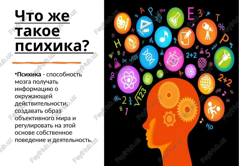 zovanie kamennix predmetov i ispolzovanie ognya (poyavleniya abstraktnogo mishleniya). 2 etap: poyavlenie sotsialnix roley (poyavlenie kauzalnoy atributsii). 3 etap: poyavlenie tvorchestva (poyavlenie tvorcheskogo voobrajeniya). 4 etap: poyavlenie tsivilizatsii (okonchatelnaya biopsixosotsialnaya zrelost psixiki). spasibo za vnimanie!!! image1.jpeg image2.png image3.jpeg image4.jpeg image5.jpeg image6.jpeg image7.jpeg image8.png image9.jpeg image10.png image11.jpeg image12.jpeg /docprops/thumbnail.jpeg