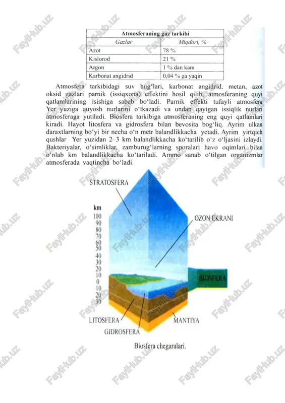 suvning juda sekin aylanishishimoliy muz okeanlarida sodir bo‘ladi (2-3-rasmlar)[footnoteref:1]. [1: 1peter rillero, dinah zike ecology, 2005 ( 44- 49- betlar). ] atmosferada suv bug’i uglerodning aylanishi. uglerodning aylanishi eng tez sodir bo‘ladigan biogeokimyoviy jarayon hisoblanadi. uglerod almashinuvi ko‘proq co2 orqali bo‘ladi. havoda karbonat angidrid gazi 0,03% bo‘ladi. co2 o‘simlikkao‘zlashtirilib, fotosintez mahsuldorligini hosil qiladi. o‘simlik va hayvon qoldiqlaridagi organik moddalarningparchalanishi karbonat angidridning manbaidir. masaan, organikmoddalarning parchalanishi natijasida hayvon siydigida ham karbonatangidrid ajralib chiqadi. okean bilan atmosfera o‘rtasida shamol va havoning harakati tufayli karbonat angidridning almashinishi kuzatiladi. dunyo bo‘yicha, jami quruqlikdagi o‘simliklar tomonidan bir yilda 600 mln. tonna co2 o‘zlashtirilib, 400 mln. tonna o2 chiqariladi va bunda 450 mln. tonna organik moddalar hosil bo‘ladi. yeryuzida barcha co2ning bir marta to‘liq aylanishi 300 yilda sodir bo‘ladi. kislorodning aylanishi. kislorodning aylanishi juda ham murakkab jarayon. kislorod fotosintez jarayonlarida hosil bo‘ladi. bunda karbonat angidrid va suvning quyosh nuri ta’sirida reaktsiyaga kirishib, organik modda, kislorod va …