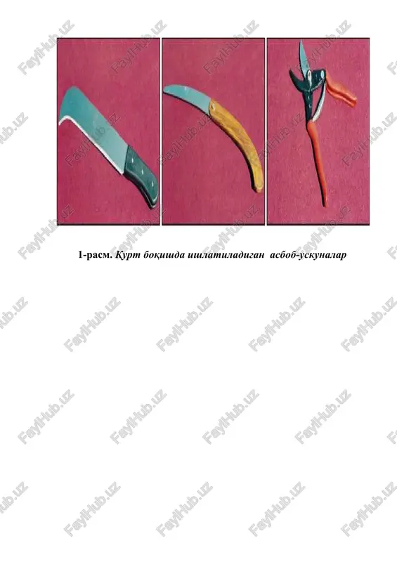 ipak qurtini boqish agrotexnikasi - Page 3