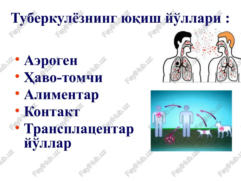ulyoz patogenezi ig sintezi b - l mbt parchalari il – 1 t - l il – 2 makrofaglar migratsiyasi mbt ga nisbatan fermentlar faolligining kuchayishi f immunitet hosil bo'lish sxemasi: antigen t-xelper t-supressor v-limfotsit t-kontur supressor plazmatik hujayra antitelo igg, igm makrofag determinant image1.jpg image2.jpg image3.jpg image4.jpg image5.jpg image6.jpg image7.jpg image8.jpg image9.jpg image10.jpg