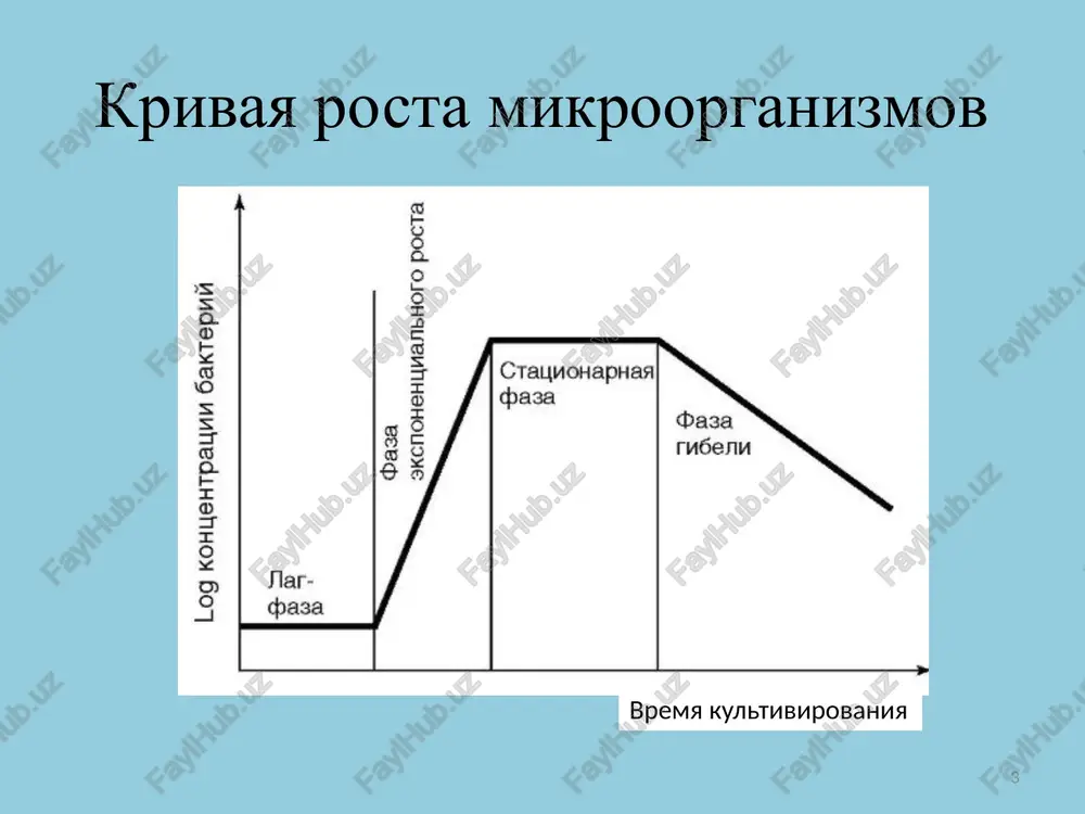 azovanie pigmentov proisxodit tolko na svetu. mnogie pigmenti proyavlyayut antibioticheskie svoystva. mejdu pigmentatsiey i obrazovaniem vtorichnix metabolitov sushestvuet takaya tesnaya korrelyatsiya, chto pri nalichii pigmentov mojno s bolshoy doley veroyatnosti ojidat obrazovaniya antibiotikov i drugix bav. 11 pigmenti mikroorganizmov pigment tsvet mikroorganizm karotinoidi krasniy, oranjeviy, jeltiy mikobakterii, sartsini, aktinomitseti (zashishaet ot ultrafioleta) xinonovie jeltie mikobakterii tuberkuleza melaninovie chernie, korichnevie bakterioidi pirrolovie yarko-krasnie serratia marcescens, aktinomitseti fenozinovie sine-zelenie, pri etom mojet menyatsya sinegnoynaya palochka (piotsianin) 12 bioximicheskie priznaki (svoystva) bakteriy opredelyayutsya naborom fermentov, prisushix opredelennomu rodu, vidu, variantu mikroorganizmov viyavlyayut posevami na differentsialno-diagnosticheskie sredi 13 fermenti bakteriy enzimi – spetsificheskie belki, kotorie kataliziruyut ximicheskie reaktsii. klassifikatsiya fermentov bakteriy: po tipu kataliziruemoy reaktsii – oksireduktazi, liazi, trasferazi, gidrolazi i t.d. po lokalizatsii – endofermenti – kataliziruyut reaktsii vnutri kletki. ekzofermenti – videlyayutsya iz bakterialnoy kletki, kataliziruyut rassheplenie geneticheskiy kontrol obrazovaniya – konstitutivnie (v techenie vsego jiznennogo tsikla, ne vliyaet nalichie substrata), indutsibilnie …