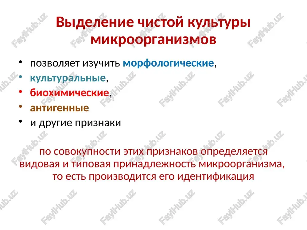 replyayut mikropipetki v pole zreniya mikroskopa ob'ekti vidni s mikronnoy tochnostyu image1.jpeg image2.jpeg image3.png image4.png image5.png image6.png image7.png image8.png image9.png image10.png image11.jpeg image12.jpeg image13.jpeg image14.jpeg /docprops/thumbnail.jpeg