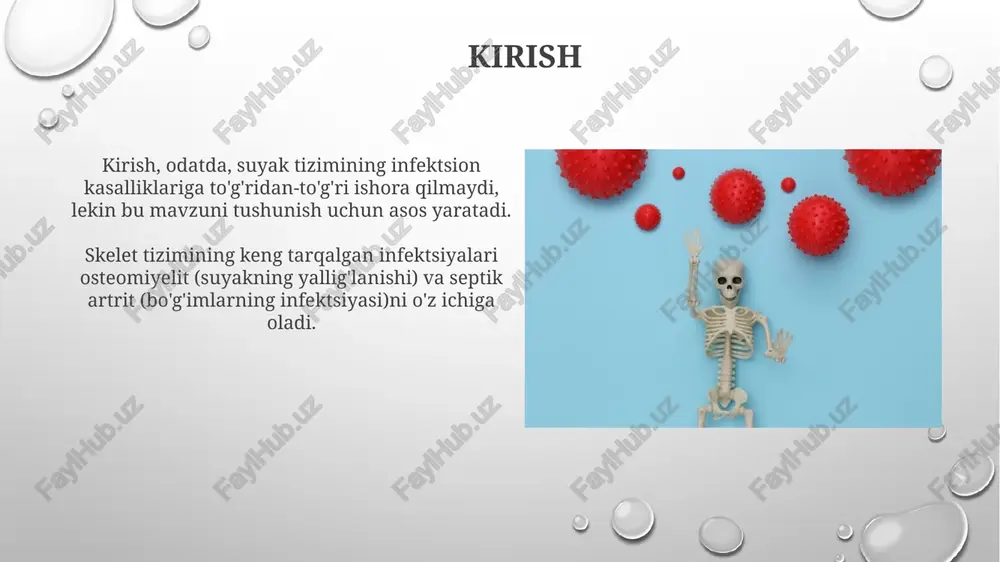 a bakteriyalar aniqlanadi, bu esa mikroorganizm turini aniqlash va to'g'ri antibiotikni tanlash imkonini beradi. septik artritni davolash septik artritni davolash odatda intravenoz antibiotiklar bilan boshlanadi, odatda 4-6 hafta davomida keng spektrli dori vositalari bilan davolash tavsiya etiladi. bo'g'imdagi yiringni olib tashlash septik artritni davolashning muhim qismidir. bunga igna aspiratsiyasi, artroskopiya yoki ochiq jarrohlik orqali erishish mumkin. umurtqa pog'onasi infektsiyalari (diskitt va umurtqa pog'onasi osteomieliti) diskitt ko'pincha erta bolalik davrida, taxminan 1 yoshdan 5 yoshgacha bo'lgan bolalarda uchraydi, bu esa umurtqalararo diskning yallig'lanishi bilan xarakterlanadi va og'riqqa sabab bo'ladi. umurtqa pog'onasi osteomielitida, odatda, staphylococcus aureus bakteriyasi 60% hollarda sababchi hisoblanadi, shuningdek, boshqa bakteriyalar yoki zamburug'lar ham rol o'ynashi mumkin. protez bo'g'im infektsiyalari protez bo'g'im infektsiyalari ko'pincha staphylococcus aureus va staphylococcus epidermidis kabi bakteriyalar tufayli kelib chiqadi, bu bakteriyalar operatsiyadan keyin 3 oygacha xavfli hisoblanadi. biofilm shakllanishi protez yuzasida antibiotiklarga chidamli mikroblarning koloniyasini yaratadi, bu esa davolashning muvaffaqiyatli bo'lishi uchun operatsiyani talab …