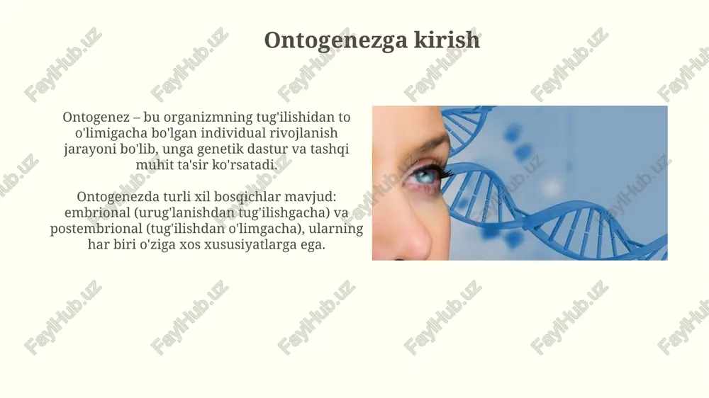 inson antogenezining rivojlanishi - Page 3