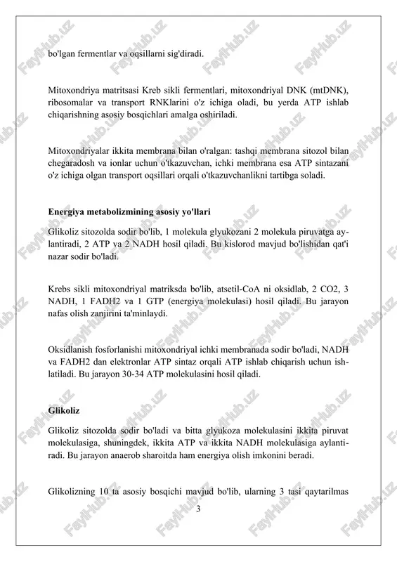 oksidlanish-qaytarilish reaksiyalari orqali amalga oshiriladi. energiya metabolizmining gormonal nazorati insulin glukozani hujayralarga olib kirishni rag'batlantiradi, glikogenni sintez qiladi va glukoneogenezni inhibe qiladi, qonda qand miqdorini kamaytirishga yordam beradi. kortizol glyukogenezni oshiradi, oqsillarni parchalaydi va yog' kislotalarini safarbar qiladi, bu esa uzoq muddatli ochlik paytida energiya bilan ta'minlash uchun zarurdir. qalqonsimon bez gormonlari (t3 va t4) bazal metabolizm tezligini oshiradi, issiqlik ishlab chiqarishni ko'paytiradi va oqsillar, uglevodlar va yog'larning metabolizmiga ta'sir qiladi. insulinning roli insulin glukozaning qon oqimidan hujayralarga kirishini rag'batlantiradi, bu jarayon glut4 transportyorini hujayra membranasiga ko'chirib, hujayralarga 70-110 mg/dl darajasida glukozani o'zlashtirishga yordam beradi. insulin jigarda glikogenezni (glikogenning sintezi) va lipogenezni (yog' kislotalarining sintezi) oshiradi, shu bilan qonda glukozaning darajasini pasaytiradi va ortiqcha energiyani keyinchalik foydalanish uchun saqlaydi. insulin oqsillarning sintezini rag'batlantiradi va oqsillarning parchalanishini inhibe qiladi, bu mushak to'qimasini saqlashga yordam beradi. amino kislotalarning hujayralarga kirishini oshirish orqali 20 dan ortiq muhim aminokislotalar ta'minlanadi. glyukagonning roli glukagon jigar …
