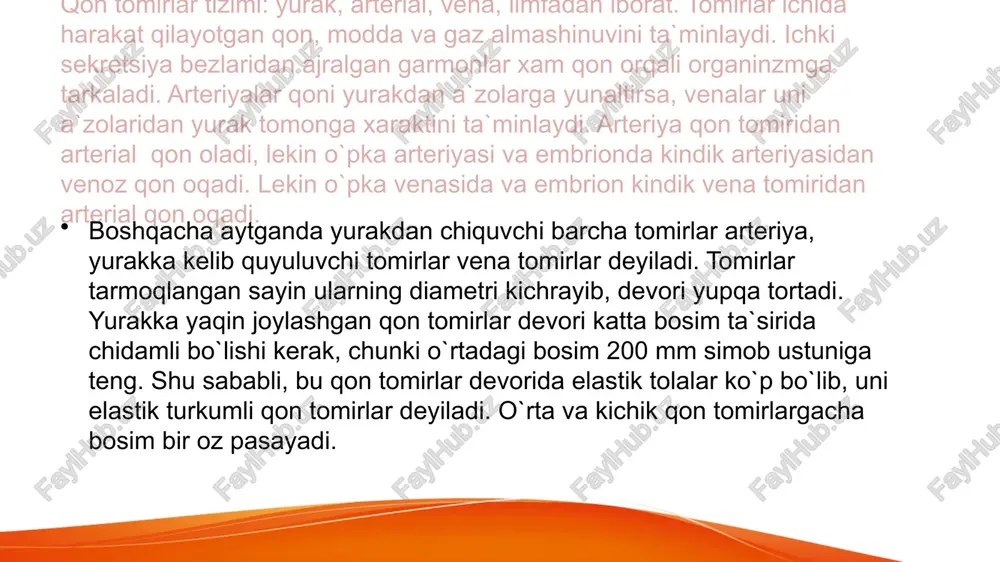 yurak qon tomir sistemasi - Page 3