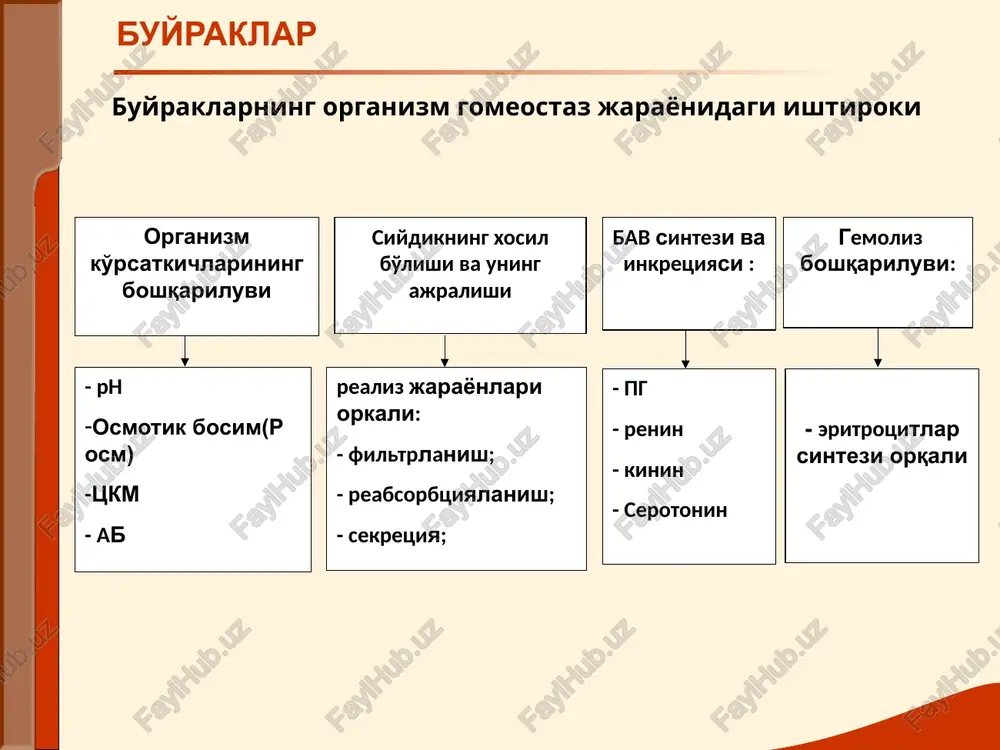 stumental tekshirish: umumiy siydik taxlili- ogrik gurujidan sung uzgarmagan eritrotsitlarni paydo bulishi urografiya- sabablari aniqlanadi buyrak ultra tovush tekshiruvi(uzi) - sabablari aniqlanadi xromotsistoskopiya- sabablari aniqlanadi asosiy buyrak sindromlari nefrotik sindrom- proteinuriya, gipoproteinemiya, giperxolesterinemiya, massiv shishlar, anasarka. shish sindromi sabablari: turli zaxarlanishlar (sulema, kislotalar) infektsion-toksik kasalliklar(gripp) noto'g'ri qon quyishlar surinkali glomerulonefrit sepsis sil qandli diabet kollagenozlar amiloidoz shikoyatlar: shishlar oliguriya ishtaxa yo'qolishi ko'ngil aynish qusish bosh og'riqlari mushaklarda og'riq shish sindromi ko'zdan kechirish: shishlar astsit gidrotoraks gidroperikard anasarka «facies nephritica» laborator –asbob-uskunalar yordamida tekshirish: massiv proteinuriya gipoproteinemiya giperxolesterinemiya shish sindromi asosiy mexanizmlar: buyrak kasalligida ab oshib ketishi. natriy va suvning to'planishi. pressor sistemasining aktivlashishi(renin-angiotenzin-aldosteron) buyrakning arterial gipertenziya sindromi shikoyatlar: bosh og'riqlari bosh aylanishi yurak soxasida og'riqlar xansirash yurak tez urishi ko'rishni xiralashuvi ob'ektiv tekshirish: ab ning turg'un ko'tarilishi (ayniqsa diastolada) puls tarang,tulik chap qorincha gipertrofiyasi- yurak uchi turtkisi eyilgan, kuchli, yurak chegaralari chapga siljigan, aortada ikkinchi tonning kuchayishi. chap qorincha etishmovchiligining …