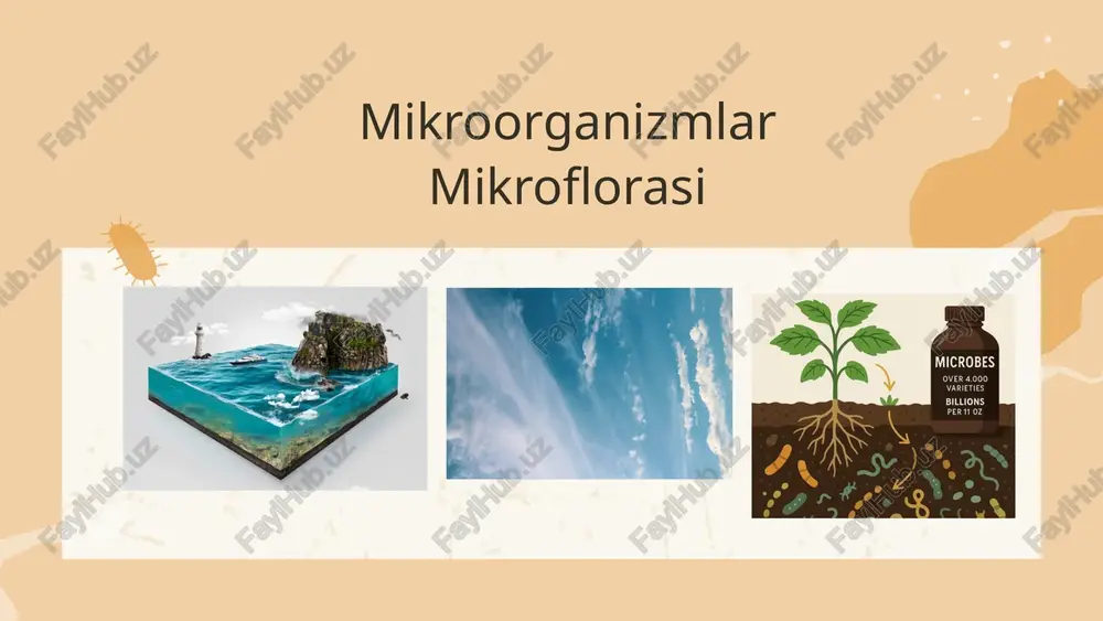 roqning eng kam miqdoriga titr deyiladi va 1 l suyuqlikda. 1 gr tuproq yoki zich moddada, 1m3 havoda topilgan sanitariya ko”rsatgichli bakteriyalar soniga indeks deyiladi. e’tiboringiz uchun rahmat image17.png image19.png image21.png image1.png image3.png image5.png image7.png image9.png image11.png image13.png image15.png image23.png image30.png image31.svg image24.svg image25.png image26.png image27.svg image20.svg image28.png image29.svg image32.png image18.svg image34.png image35.svg image36.jpeg image37.jpeg image38.jpeg image33.svg image4.svg image6.svg image46.svg image39.png image40.svg image41.png image42.svg image43.png image44.svg image45.png