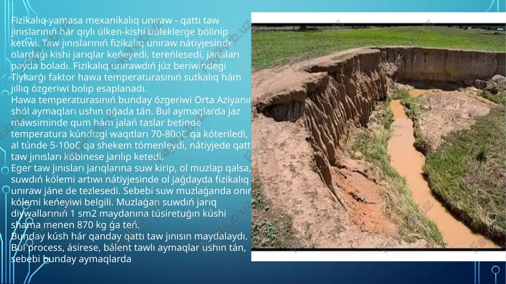 likler hám taw jınıslarınıń unırawına mexanikalıq jol menen (tamırlarınıń ósiwi) hám ximiyalıq jol menen (ósimlikler tamırınıń túrli kislotalardı islep shıǵarıwı) tásir kórsetedi. ximiyalıq unıraw júz beriwinde mikroorganizmlerdiń rolı jaqsı emes. taw jınıslarınıń unırawında jánlikler, qurt-shirkeyler, qurtlar, jer qazıwshı haywanlar hám insan iskerligi úlken rol oynaydı. joqarıda atap ótilgen unıraw processleriniń túrleri kóp aymaqlarda qattı taw jınıslarına bir waqıttıń ózinde óz tásirin kórsetedi. biraq, aymaqtıń sharayatına qarap, olardan biri ústinlik etiwi múmkin. unıraw procesleri jer júziniń barlıq aymaqlarında jer astı suwlarınan joqarıda júz beredi hám unıraw qabıǵın payda etedi. unıraw qabıǵı - taw jınıslarınıń hawa, suw hám organizmler tásirinde ózgeriwinen payda bolģan gewek jınıslar qatlamı. unıraw procesleri taw jınıslarınıń quramına qarap hár túrli aymaqta hár túrli rawajlanadı. taw jınıslarınıń bir túrinde olar tez, basqa túrinde bolsa áste rawajlanadı. sonıń menen birge bir taw jınısı hár qıylı klimat sharayatında hár qıylı túrde unıraydı. sebebi hawa temperaturası, onıń amplitudasınıń ózgeriwi, suw muģdarınıń bir …