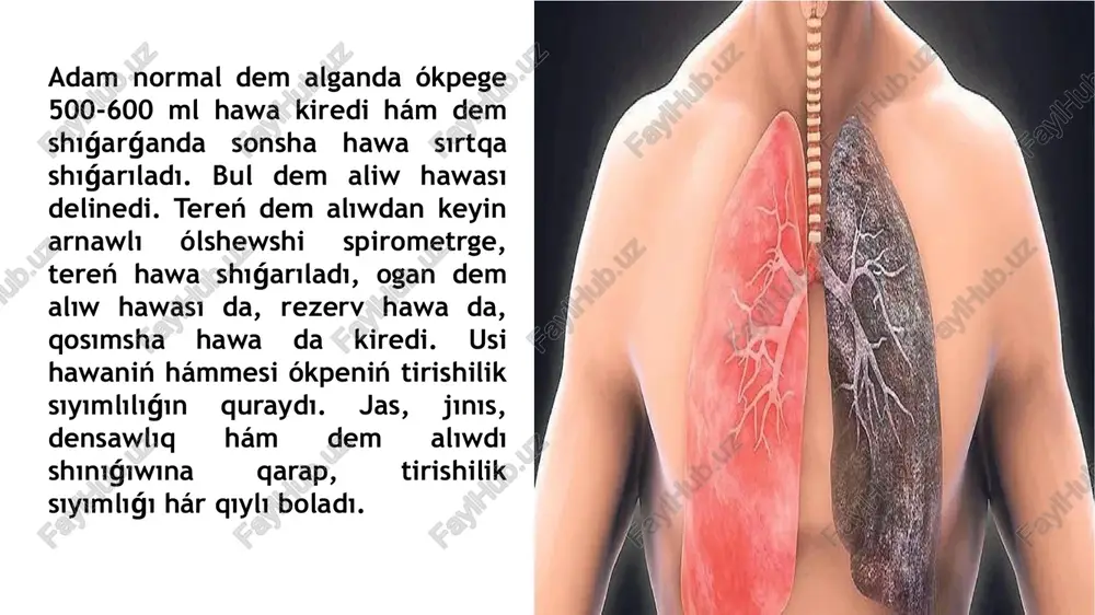 anda 10-15 procent normalardı azaytamız. bul jaǵday basqa test hám sınaqlarǵa da tiyisli 3. spirometriya - qurǵaq spirometr: ókpeniń tirishilik qábiletin (óqq) hám oniń quram bólegi bolgan dem aliw kólemlerin anıqlaw usılı. arnawlı ásbap járdeminde óts aniqlanadi. shinigiwdi orınlawshı 5-6 márte dem alıw shınıǵıwın orınlap, keyin bar kúsh penen, maksimal dárejede spirometrge hawa jiberiledi (puwlanadı). spirometrdegi qızıl kórsetkish jıljıydı, soń toqtaǵan kórsetkish, jumıs orınlawshınıń ótsi yesaplanadı. bul process 3 márte orınlanadı hám ortasha kórsetkish jazıp alınadı. bul kórsetkishler subekttiń jınısı, jası, boyı hám fizikalıq rawajlanıwına baylanıslı. 4. spirografiya -bul dem alıw háreketlerin grafikli dizimge alıw menen ókpe ventilyaciyasın bahalaw usılı bolıp, waqıt koordinatalarında ókpe kólemindegi ózgerislerdi kórsetedi. usıl salıstırmalı ápiwayı, qolaylı, az júkleme hám joqarı maǵlıwmatqa ie.spirografiyanıń bir neshe túrleri bar: jabıq túrdegi, jabıq hawa sisteması hám ashıq túrdegi arnawlı sensorlar járdeminde ámelge asırıladı. jabıq túrdegi spirograflardıń tiykarģı elementleri birew yamasa kóbinese ekew boladı. ókpeniń kólemi hám sıyımlılıǵı jasqa, jınısqa, …