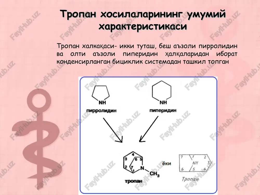 ritmasini rangsizlantiradi. skopolamin gidrobromid – apoatropin va aposkopolamin izlari bo'lishi mumkin miqdoriy taxlil tropan qator preparatlari suvsiz muxitda kislota asos titrlash usulida. unda: titrant- perxlorat kislotasi hclo4 0,1m indikator- kristallik binafsha reaktsiya- simob atsetat ishtirokida boradi (fakat hcl va hbr saqlagan preparatlar uchun) ekgonin xosilalari. kokain kokain – ekgonin oksikislotasi xosilasi bo'lib, birinchi 1860 yilda niman olim tomonidan koka usimligidan ajratib olingan, uning maxalliy anesteziya xossasiga ega bo'lishi esa 1879 yilda rus farmakologi v.k.anrep tomonidan kashf etilgan. 1900 yilda kokain aqsh eng ko'p sotiladigan preparatlarning birinchi beshtaligiga kirgan. 20 asrning boshlarida kokainning juda ko'p noxush asoratlari tufayli, undan voz kechilgan va 1911 yilda yangi maxalliy ogriqsizlantiruvchi xossaga ega bo'lgan novokain sintez qilingan. kokain janubiy amerikaning tropik o'rmonlarida, hindiston, shri lanka va yava orolida ko'p tarkalgan koka (erythexylaceae sosa) o'simligining bargida bo'ladi. bargning tarkibida kokainga yakin boshqa har xil alkaloidlar ham bo'lib, ularning umumiy miqdori o'rta hisobda 1 —1,5 % gachadir. …