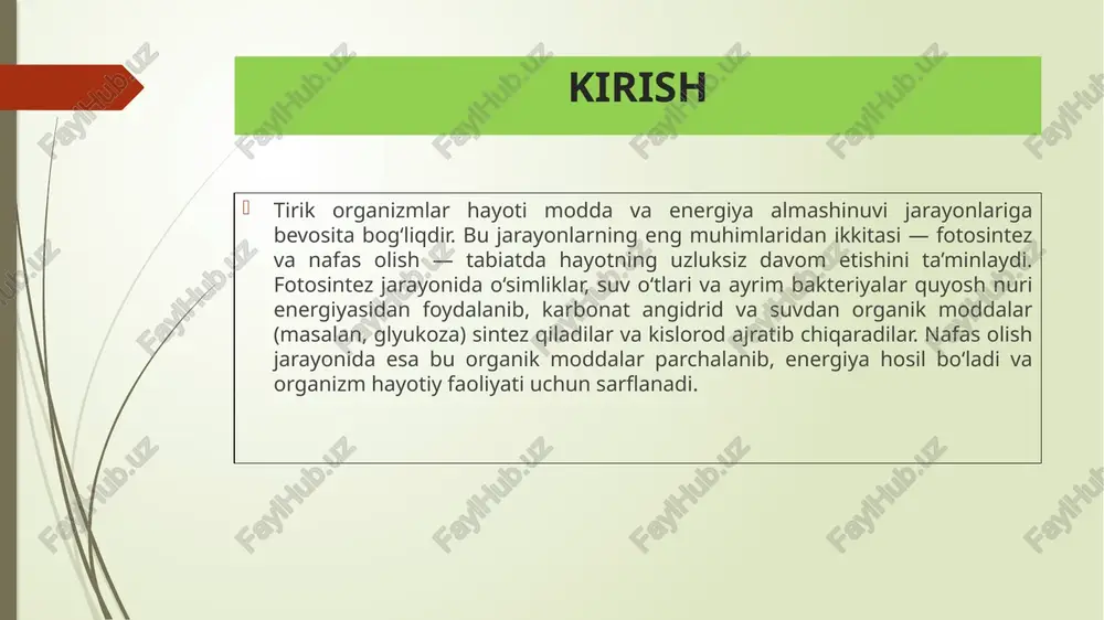 ada organik moddalarning parchalanib, energiya (atp) hosil bo‘lish jarayonidir. umumiy tenglama: c6h12o6+6o2→6co2+6h2o+energiya(atp)c_6h_{12}o_6 + 6o_2 → 6co_2 + 6h_2o + energiya (atp)c6​h12​o6​+6o2​→6co2​+6h2​o+energiya(atp) jarayon mitoxondriyalarda kechadi. fotosintez va nafas olish jarayonlarining o‘zaro bog‘liqlig fotosintez natijasida hosil bo‘lgan kislorod va glyukoza nafas olish uchun asosiy manbadir. nafas olish natijasida hosil bo‘lgan co₂ va h₂o esa fotosintez uchun kerakli xomashyo hisoblanadi. demak, bu jarayonlar bir-birini to‘ldiruvchi va tabiat muvozanatini ta’minlovchi tizimdir. xulosa: fotosintez va nafas olishni o‘rganishda muhim savollar qo‘yish: biologik jarayonlarning chuqur mohiyatini anglash imkonini beradi; ilmiy fikrlashni rivojlantiradi; yangi tajribalar va kashfiyotlarga asos yaratadi; insoniyatga energiya, ekologiya va qishloq xo‘jaligi sohalarida yangi yo‘nalishlar ochadi. foydalanilgan adabiyotlar abdullayev, x. “umumiy biologiya”, toshkent, 2020. campbell & reece. biology, 10th edition, pearson, 2021. internet manbalar: www.khanacademy.org www.nature.com e’tiboringiz uchun raxmat image1.png /docprops/thumbnail.jpeg