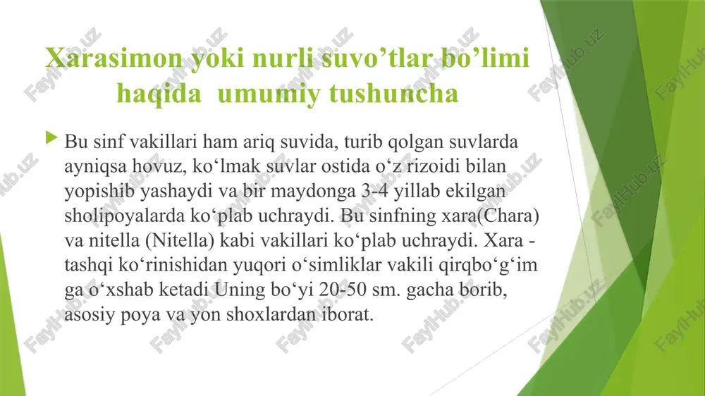 dan ajralgan hujayra ikkiga bo'linadi. tashqi hujayra uch yo‘nalishda tez bo'linib sakkizta hujayradan iborat shar ko‘rinishni hosil qiladi. e’tiboringiz uchun rahmat! image1.png image2.png /docprops/thumbnail.jpeg