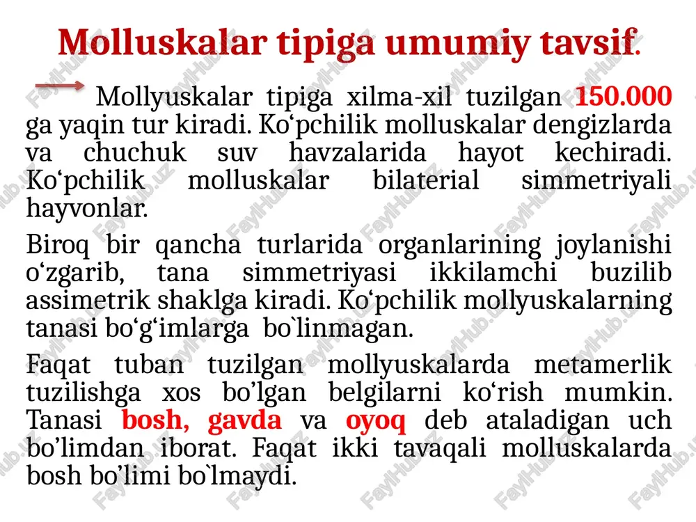 tanasi orqa tomondan 8 ta plastinkadan iborat chig‘anoq bilan qoplangan. plastinkalar bir qator ketma-ket joylashgan va bir-biri bilan harakatchan tutashib turgani tufayli xiton zaxkashlar singari qorin tomoniga bukilib, yumaloqlanishi mumkin. chig‘anoqning tuzilishi muskullarining tuzilishida ham o ‘z aksini topadi. muskullarining to‘p bo’lib chig'anoq plastinkalariga ketma-ket birikishi halqali chuvalchanglar tanasida organlarining joylashishini eslatadi. ovqat hazm qilish sistemasi og‘iz teshigi boshining ostida joylashgan. oldingi ichakning kengaygan muskulli uchki qismi halqumga ochiladi. halqumda joylashgan muskulli tilchasining usti qalin shoxsimon kutikula bilan qoplangan. kutikula sirtida bir necha qator shoxsimon tishchalar- radula, ya’ni qirg‘ichi joylashgan. bu tishchalar yordamida mollyuska qoya va toshlarga yopishib olgan suv o'tlari va boshqa oziqni qirib oladi. halqumdan tor naycha shaklidagi qizilo‘ngach boshlanadi. qizilo‘ngach o‘rta ichakning xaltasimon kengaygan oldingi qismi – oshqozonga o'tadi. yonbosh nervlilaming o‘rta ichagi juda uzun. unga jigar naylari yo‘li ochiladi. o‘rta ichak bir necha marta buklanib turadi. uning keyingi tomoni - orqa ichak mantiya bo‘shlig'iga ochiladi. xitonlar …