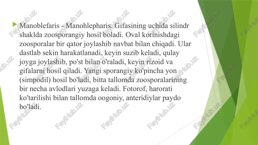monoblafaridlar tibbiyoti - Page 3