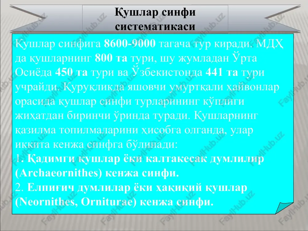 , ya'ni oddiy tentakqush (caprimulgus europaeus) va malla tentakqush (caprimulgus aegyptius) uchraydi. tentakqush erga chuqurcha yasab, 1-2 ta tuxum qo'yadi. jo'jalarini boqishda erkagi va urg'ochisi ishtirok etadi. ular jo'ja bolali qushlar bilan jish bolali qushlar o'rtasidagi oraliq forma hisoblanadi. tentakqushsimonlar (caprimulgiformes) turkumi oddiy tentakqush malla tentakqush bu turkumga kiruvchi qushlar tropik va subtropik o'rmonlarda daraxtlarda hayot kechiradi. ularni bitta to'tiqushlar (psittacidae) oilasi va 325 ta turi bor. o'rtacha va kichik hajmdagi (massasi 10 g dan 1 kg gacha boradi) qushlar. tipik vakillariga tiniq rangli, hajmi katta, uzun dumli amerika ara to'tisi (ara), avstraliya kokildor kakadu to'tisi (cacatuinae), afrika kulrang jakosi (psittacus), yangi zelandiya nestori yoki kea (nestor), ucha olmaydigan yangi zelandiya yapoloqqushsimon to'tisi (stringops) va ko'pincha qafasda boqiladigan amazonka ko'k to'tisi (meloprittacus undulatus) kiradi. to'tiqushsimonlar (psittaciformes) turkumi amerika ara to'tisi kakadu to'tisi afrika kulrang jakosi yangi zelandiya nestori bu turkum uzunqanotlar yoki jarqaldirg'ochlar (apodi) va kolibrilar (trochili) kenja turkumlariga bo'linadi. …
