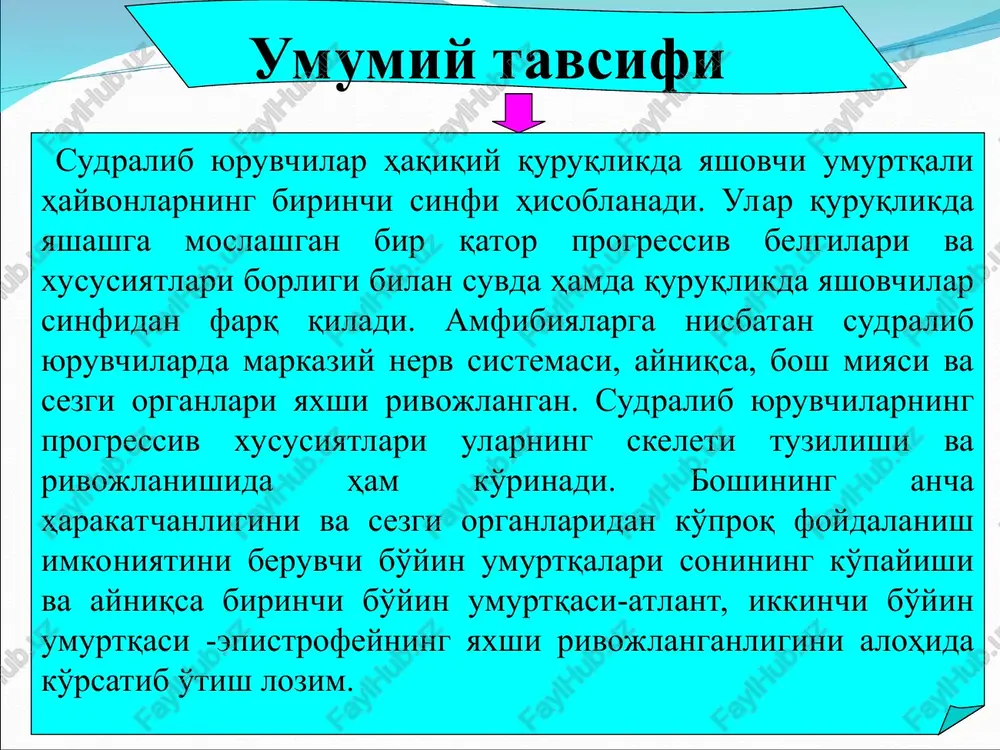 izmda suvning parchalanib ketishidan yaxshi himoya qiladi, ya'ni mexanik yallig'lanishdan va kasallik keltirib chiqaruvchi mikroblarning organizmga kirishidan saqlaydi. teri qoplami quruq cho'l hududlarida yashaydigan sudralib yuruvchilar terisi orqali juda kam suv yo'qotadi. timsohlarda esa 75% namlik asosan terisi orqali yo'qoladi. reptiliyalarning terisi nafas olishda va parchalanish mahsulotlarini ajratishda ishtirok etmaydi. terida bezlar deyarli yo'q. kaltakesaklar sonlarining ichki tomonida son teshiklari bo'lib, ulardan bahor oylarida ipsimon o'simtalar chiqadi. oz miqdordagi ter bezlari asosan yosh timsohlarda rivojlangan. bu bezlar elkasida, pastki jag'ida va kloaka atrofida joylashgan.ilonlar va toshbaqalarning ham tumshug'i va kloakasida hidli sekret ishlab chiqaruvchi bezlari bor. umuman ter bezlari ayrim tur toshbaqalarda nisbatan yaxshi rivojlangan. sudralib yuruvchilarning terisi tanaga zich yopishib turadi. shox qavat tullash yo'li bilan almashinib turadi. 1-epidermis, 2-chin teri (korium), 3-shox qavat, 4-pigment hujayralari, 5-teri suyaklanmalari. kaltakesak terisining bo'yiga kesimi teri qoplami teri qoplami sudralib yuruvchilarning skeleti suvda hamda quruqlikda yashovchilarnikiga nisbatan ancha takomillashgan. progressiv xususiyatlariga suyak …