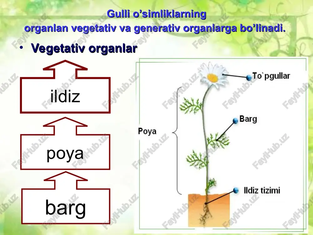ildizturlari va tizimlari - Page 3