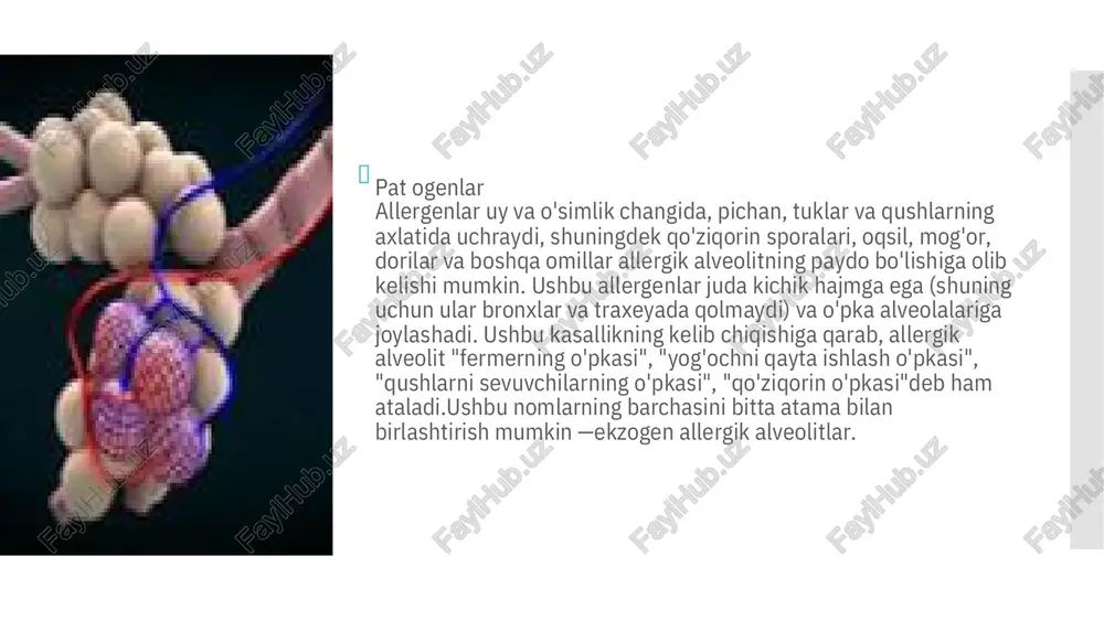 allergik alveolit - Page 3