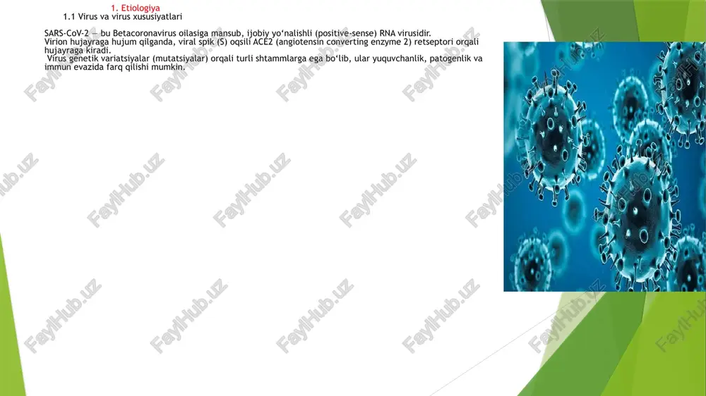 , tezkor tekshiruv bo‘lib, o‘pka infiltratlar, konsolidatsiyalarni aniqlashga xizmat qiladi. differensial diagnostika bolalarda covid-19 simptomlari boshqa respirator — virusli yoki bakterial kasalliklar bilan o‘xshash bo‘lishi mumkin. shuning uchun quyidagi kasalliklar bilan differensial diagnostika qilinadi: bakteriyali pneumoniya, bronxit,branxeal astma davolash bolalarda covid-19 davolash asosan simptomatik va qo‘llab-quvvatlovchi xarakterga ega, ammo og‘ir holatlarda virusga qarshi va immunomodulyator terapiyalar ham qo‘llaniladi. qo‘llaniladigan usullar va tavsiyalar doimo yangilab turiladi. 6.1 umumiy tamoyillar eng muhim narsa — bemorning holatini doimiy kuzatish, qon kislorodi darajasini monitoring qilish, har qanday og‘irlik belgilarini tez aniqlash va tegishli darajada jiddiy davolashga o‘tish. agar holat yengil bo‘lsa — kasalni karantin / izolyatsiyada uy sharoitida davolash, simptomlarni yengillashtirish. agar holat og‘ir bo‘lsa — bolani shifoxonaga yotqizish, kislorod terapiyasi, ventilator qo‘llab-quvvatlash, intensiv terapiya choralarini qo‘llash. 6.2 yengil va o‘rta hollarda davolash suv — bemorni dehidratsiyadan saqlash, suyuqlikni yetarli miqdorda berish antipiretiklar (paratsetamol, ibuprofen) — isitma pasaytirish uchun qulay nafas yo‘llarini saqlash (burun …